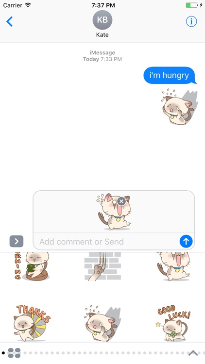 Funny Kitten Sticker screenshot-3