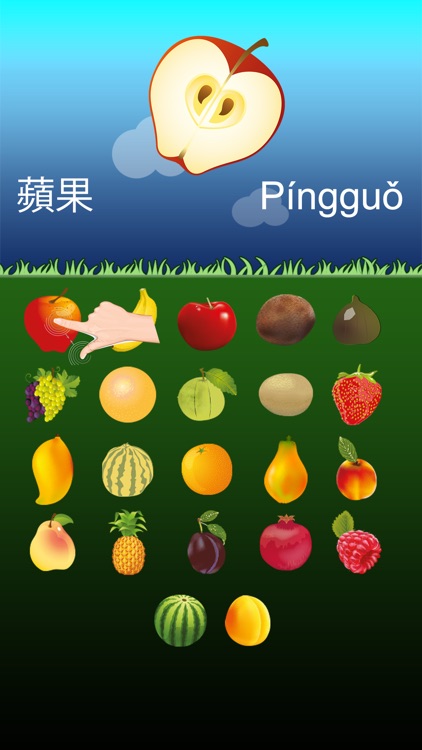 Chinese Fruits Go for Kids screenshot-4