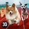 Dog Racing Tournament Sim 3D Full