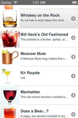 Best Cocktail Recipes screenshot 4