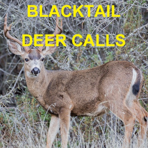 Blacktail Deer Calls Sounds for Deer Hunting Icon