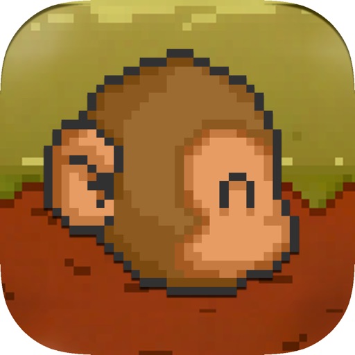Monkus iOS App