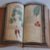 Voynich Manuscript Guide