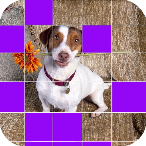 Ace Guess Dog Breed - Free Fun Quiz Icon