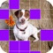 Ace Guess Dog Breed - Free Fun Quiz