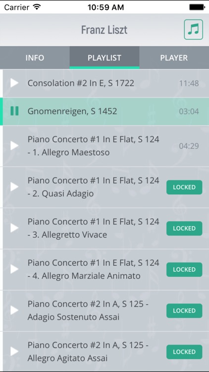 Franz Liszt - Classical Music