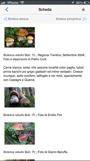 Funghi italiani(圖4)-速報App