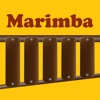 Marimba & Simon Says