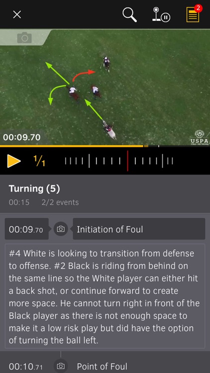 Polo Umpire