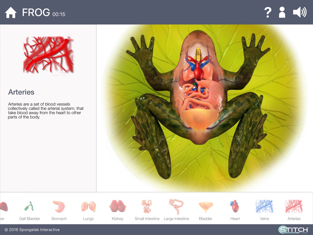 Build a Body: Biology Systems screenshot 3