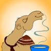 Camels Love - Stickers for iMessage
