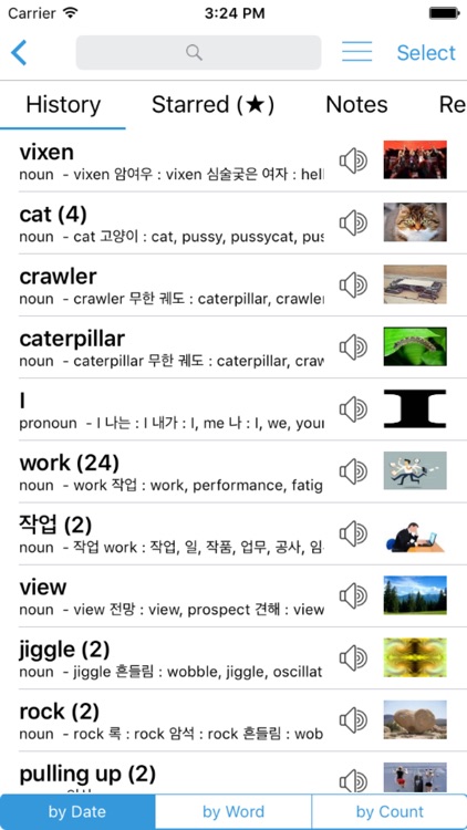 Korean English Dictionary Pro & Translation