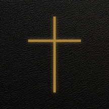 Biblia Diaria