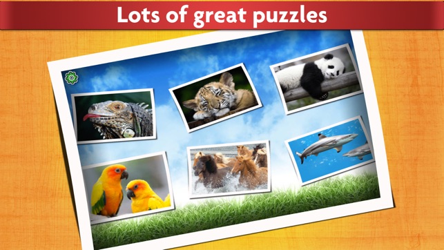 Cute Animals Puzzle - Relaxing photo pic