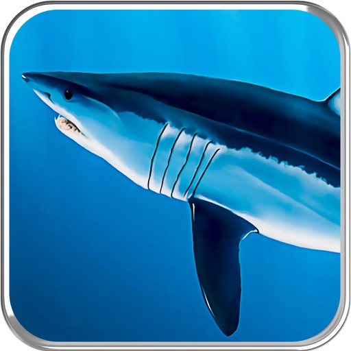 Flying Hungry Shark Endless Sniper Shooting Icon