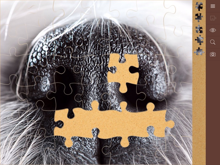 1000 Jigsaw Puzzles screenshot-3