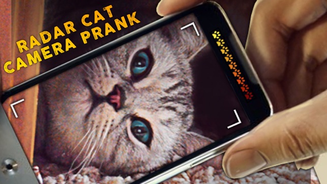 Radar Cat Camera Prank(圖1)-速報App