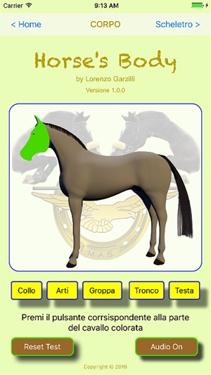 HorseBody(圖2)-速報App