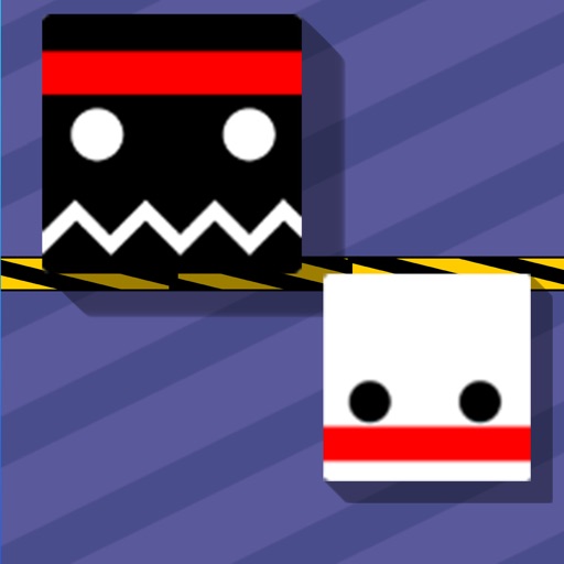 Ninja Box Survival: Dump Jump Icon