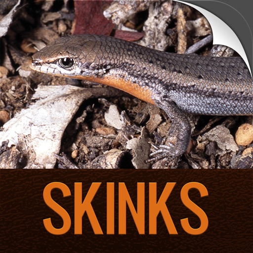 Perth Skinks icon