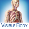 Anatomy & Physiology Body Structures Function