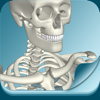 骨暗記-RoundFlat, Inc.