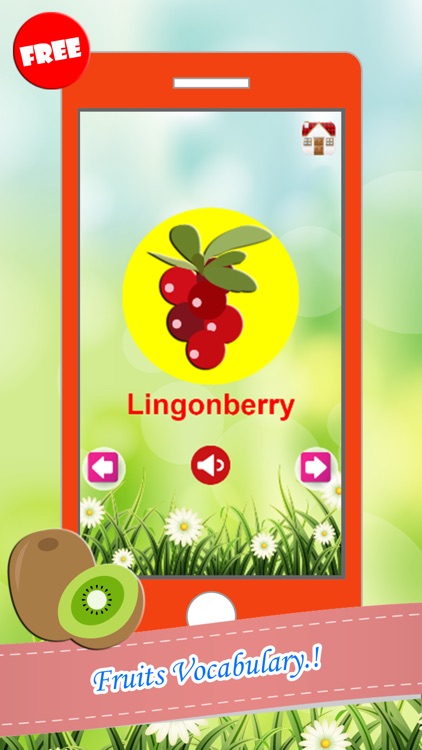 Fruits Drag And Drop Shadow Match Games For Kids