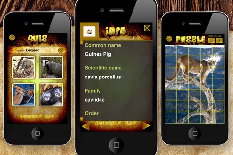 Скриншот из Animals 360 Gold
