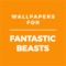HD Wallpapers Fantastic Beasts Edition