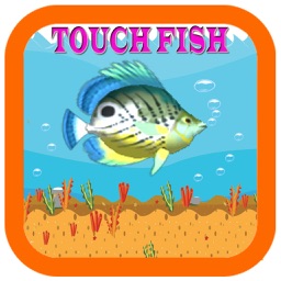 play games catch big fish charm fish