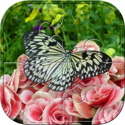 Butterfly Puzzles - Jigsaw Puzzle Game For Kids icon