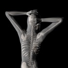 Top 45 Reference Apps Like 360 Anatomy for Artists HD: Female Figure - Best Alternatives