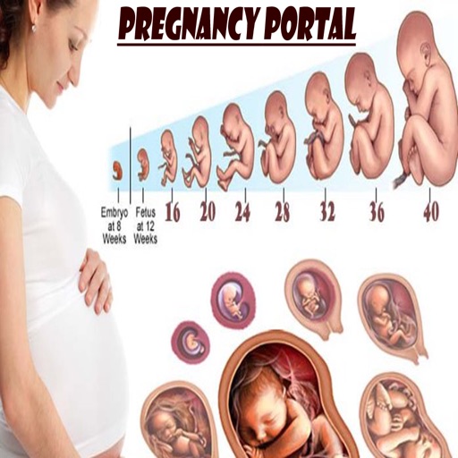 Pregnancy Portal icon