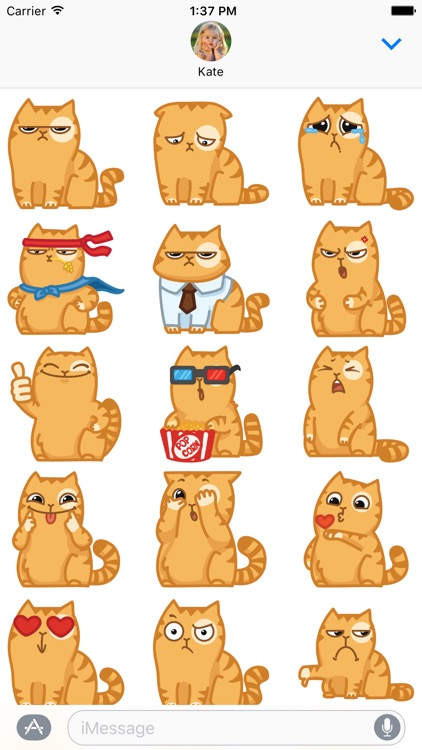 Grumpiest Cat Sticker
