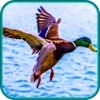 Duck Hunting Game - Bird Shot Shooting Sniper Hunt Season