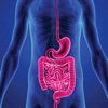 Leaky Gut 101-Symptoms and Digestive System