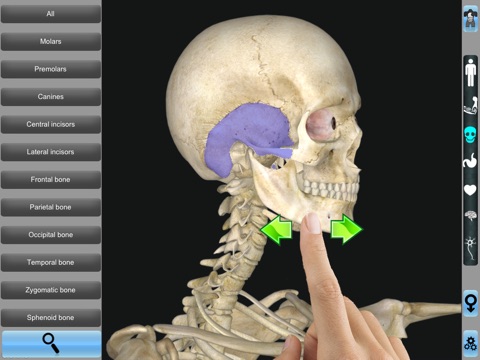 Anatomy 3D for iPad screenshot 3