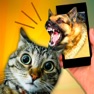 Get Scare Cat - Dog Prank for iOS, iPhone, iPad Aso Report