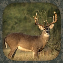 Whitetail Hunting Calls Apple Watch App
