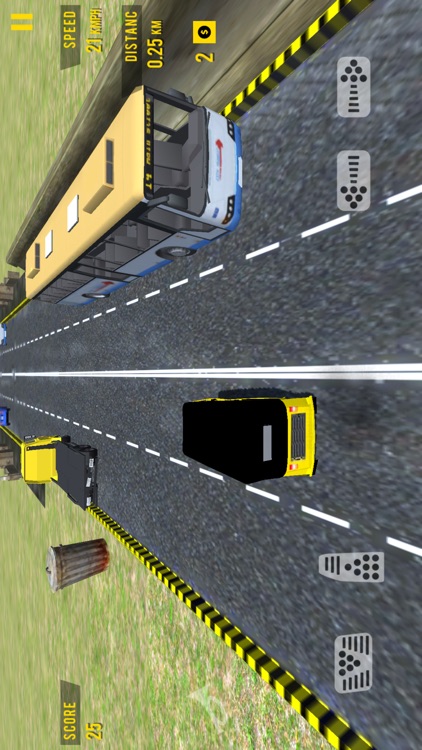 Tuk Tuk Auto Rickshaw 3D screenshot-4