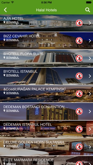 Istanbul halal travel guide –offline city map(圖3)-速報App