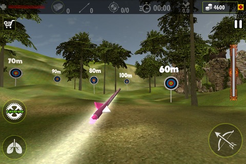 Real Archery King : Top Free Archery Shooting Game screenshot 3