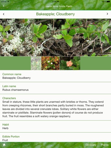 Useful Nova Scotia Plants screenshot 2