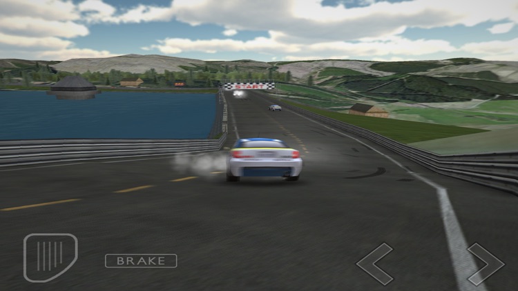 Northumbria Rally screenshot-3