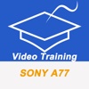 Videos Training For Sony A77 Pro