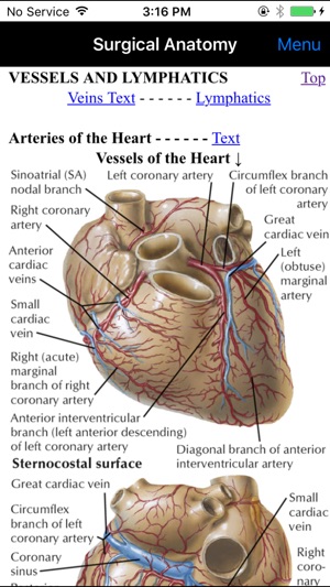 Netter's Surgical Anatomy Review P.R.N.(圖3)-速報App