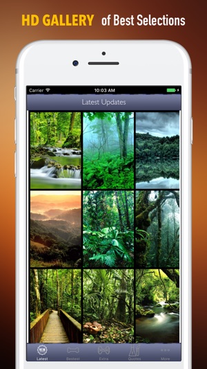 Tropical Rainforest Wallpapers HD- Art Pictures(圖1)-速報App