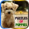 Puzzles of Puppies Free