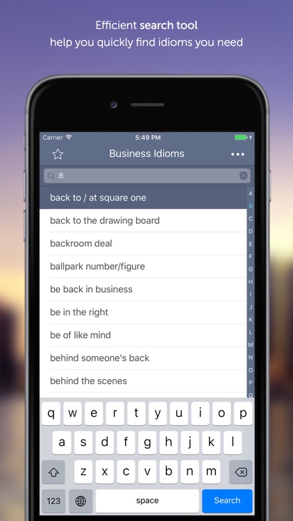 Business Idioms and Expressions English Dictionary screenshot-4