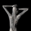 360 Anatomy for Artists HD: Female Figure